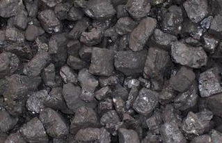 我国煤炭市场呈现缓慢复苏态势，多重市场因素主导格局演变