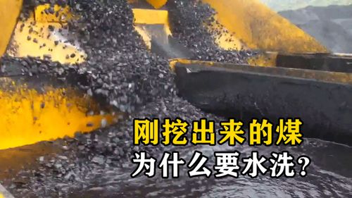 为什么要清洗刚挖出来的煤？不洗的后果与重要性