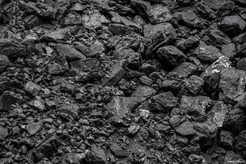 煤炭板块异军突起，主力300亿提前布局，龙头股有望迎五连板行情？